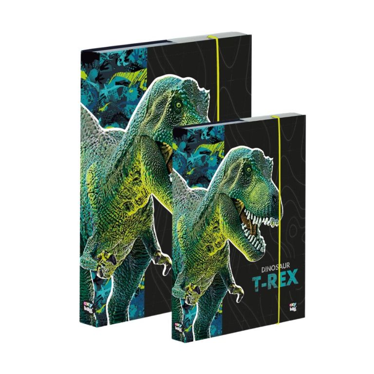 Karton P+P Set Box na zošity A4 + A5 Dinosaurus